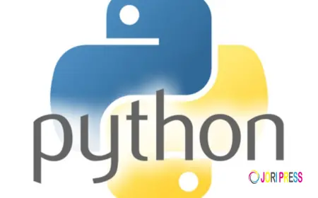 Who Should Join a Python Course?