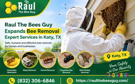 Raul The Bees Guy Expands Bee Removal Expert Services in Katy, TX