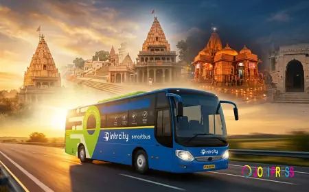 Ujjain to Delhi Bus: How to Check Your Bus PNR Status Before Departure