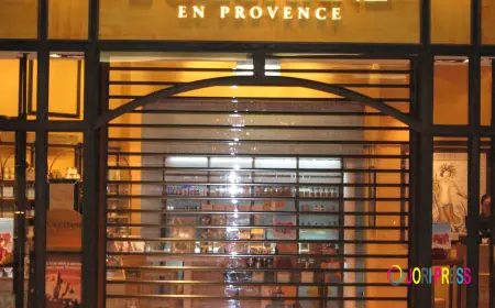Transparent Roller Door Solutions for UK Businesses