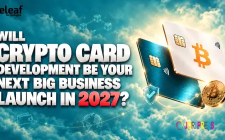 Will Crypto Card Development Be Your Next Big Business Launch in 2027?