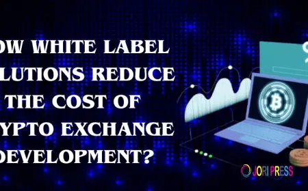 What Does It Cost to White-Label Crypto Services vs Build Them In-House?