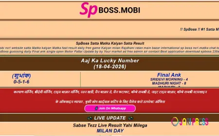 The Changing Format of Satta Matka Records