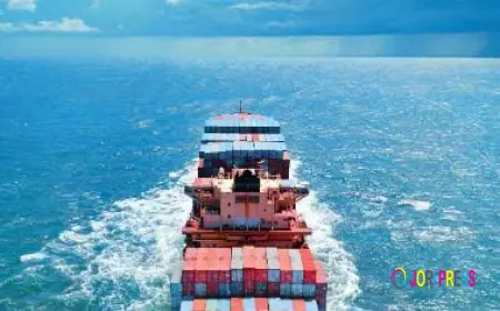 Sustainable Marine Fuels Market Size, Trends, and Growth Forecast 2026-2033