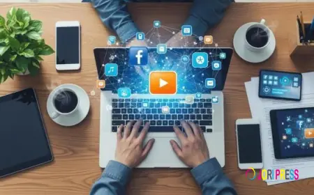 Zeltis Infotech | Best Digital Marketing Company In Noida