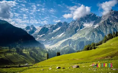 best holiday packages in north India