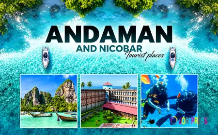 Package Trip to Andaman | Plan Your Tropical Escape