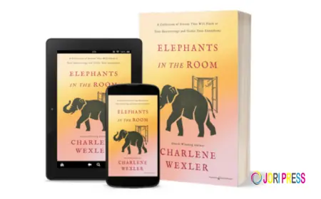 'Poets and Writers' Radio Host Henry McCarthy Interviews Award-Winning Author Charlene Wexler