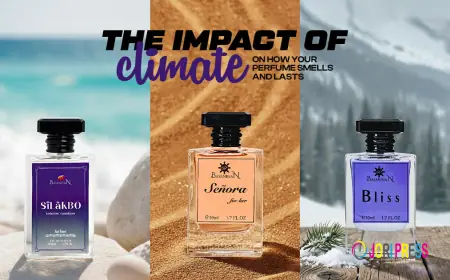 Behind the Bottle: Stories of How Bayanihan Perfumes Are Crafted
