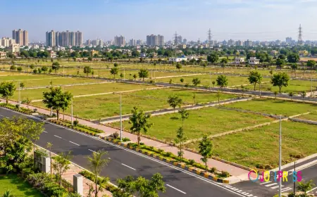 Residential Plots in Dasna: A Complete Guide for Homebuyers
