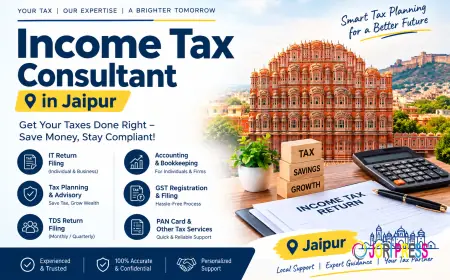 Income Tax Consultant in Jaipur