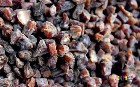 Chopped Dates Wholesale: What B2B Buyers Should Know