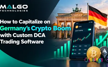 How to Capitalize on Germany’s Crypto Boom with Custom DCA Trading Software