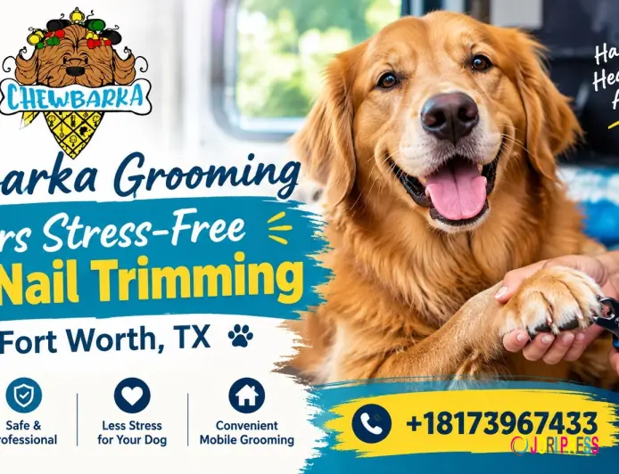 Chewbarka Grooming Offers Stress-Free Dog Nail Trimming in Fort Worth, TX