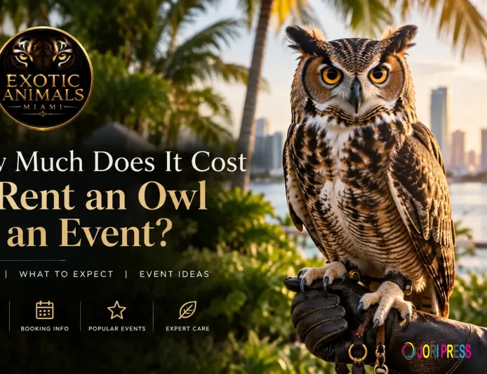 How Much Does It Cost to Rent an Owl for an Event?