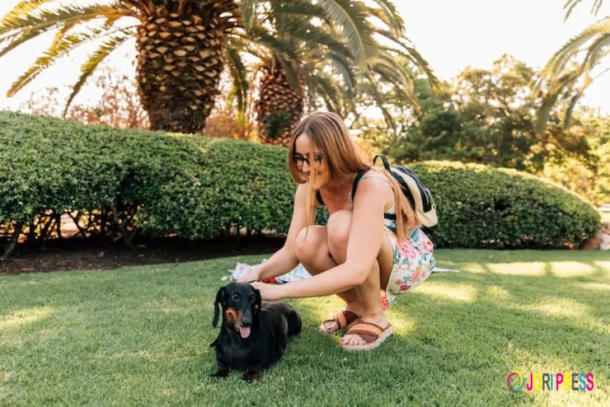 De Beste Hondvriendelijke Villa’s in Italië voor een Ontspannen Vakantie