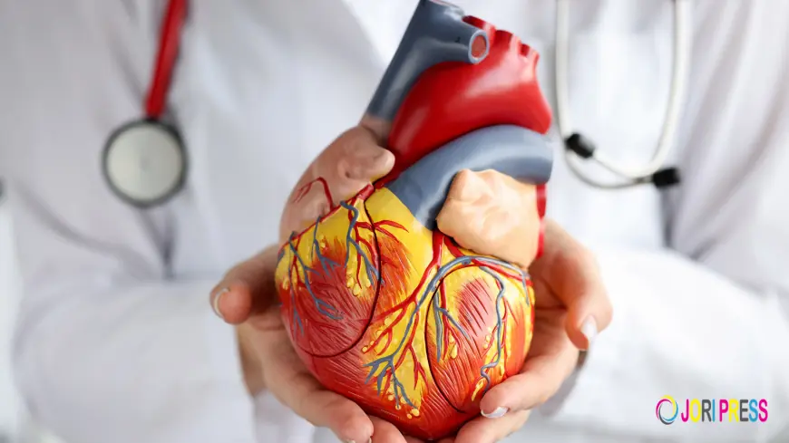 Looking for a Hospital in Chandigarh for Heart Care? Choose Expert Cardiac Care at Kare Partners Heart Centre