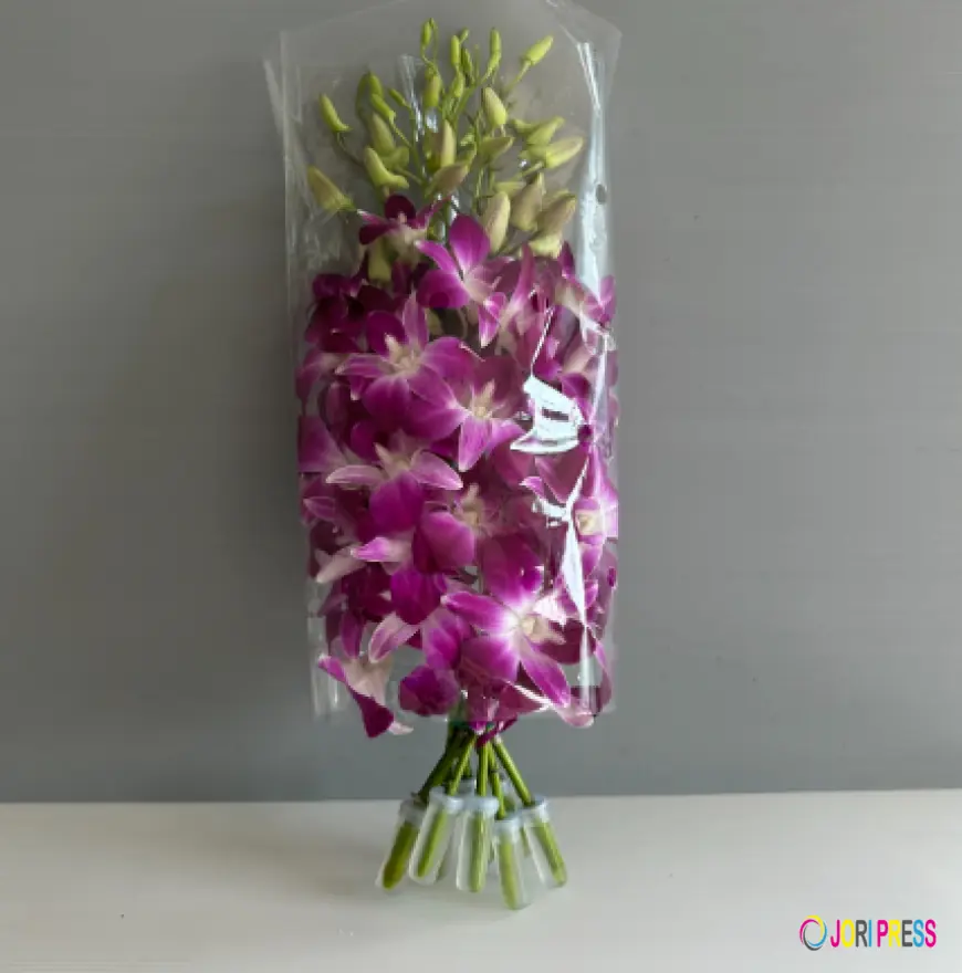 Thai Farm Expands Door-to-Door Supply of Fresh Orchid Leis to US and Hawaii Buyers