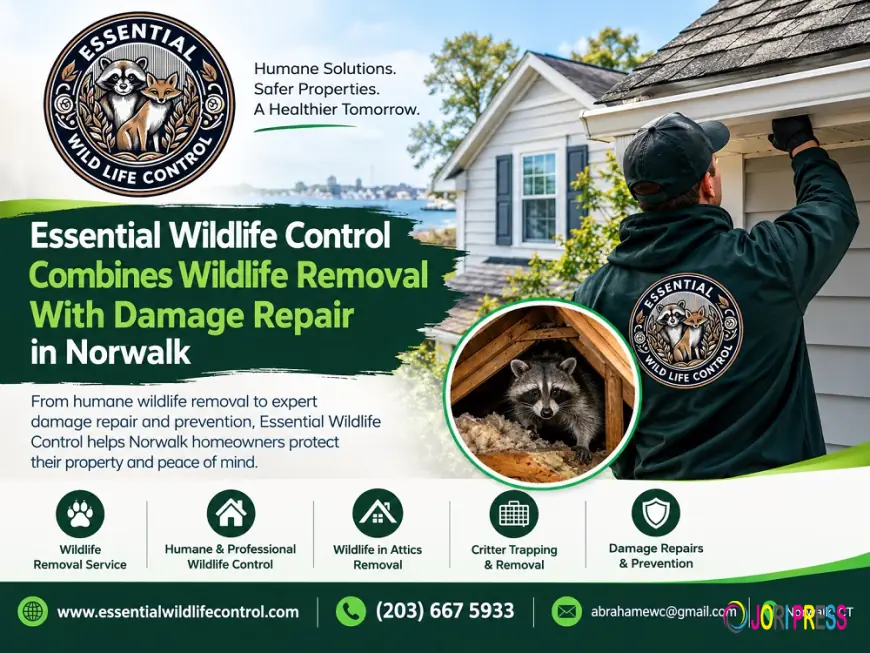 Essential Wildlife Control Combines Wildlife Removal With Damage Repair in Norwalk