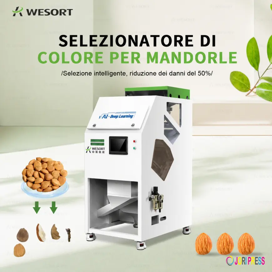 Top 8 Pistachio Color Sorter Suppliers to Compare in 2026