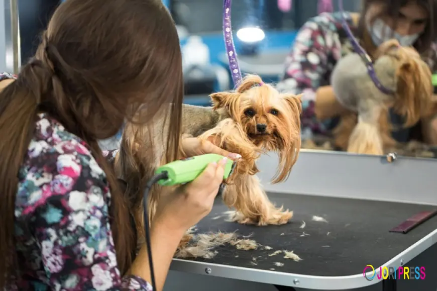 Royal Pet Introduces Complete Cat & Dog Grooming Services in Doha
