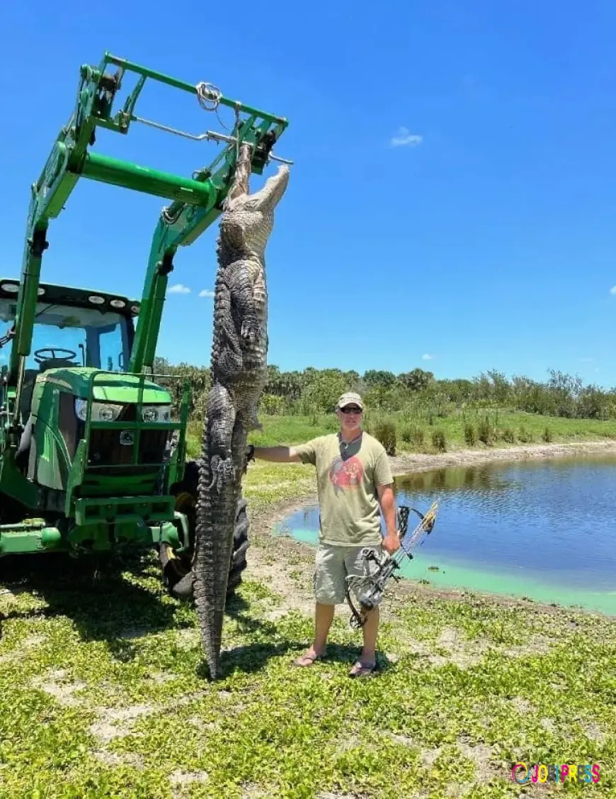 Gator Outfitters: Experience Your Hunt Your Way with Florida Trophy Outfitters