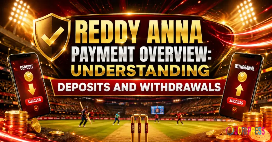 Reddy Anna Payment Overview: Understanding Deposits and Withdrawals