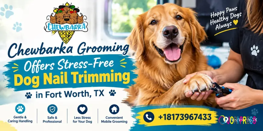 Chewbarka Grooming Offers Stress-Free Dog Nail Trimming in Fort Worth, TX