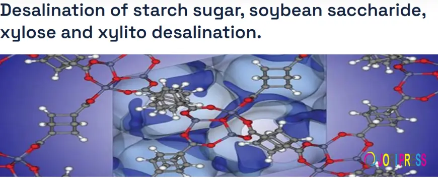 How Much Does a Starch Sugar Desalination Plant Cost in 2026?