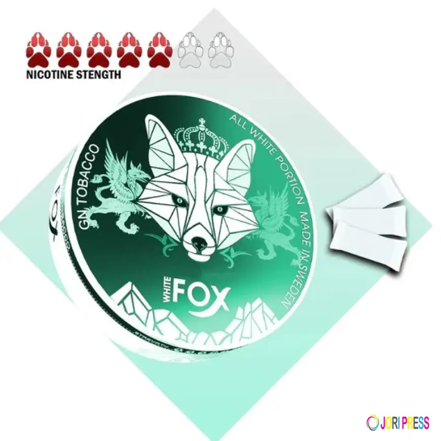 From Convenience to Choice: Why Fox Nicotine Pouches Are Drawing Attention in Dubai