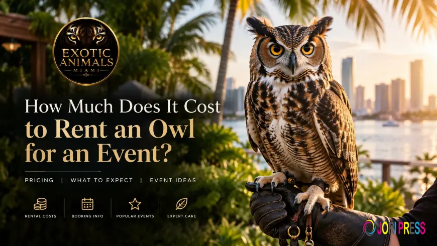 How Much Does It Cost to Rent an Owl for an Event?