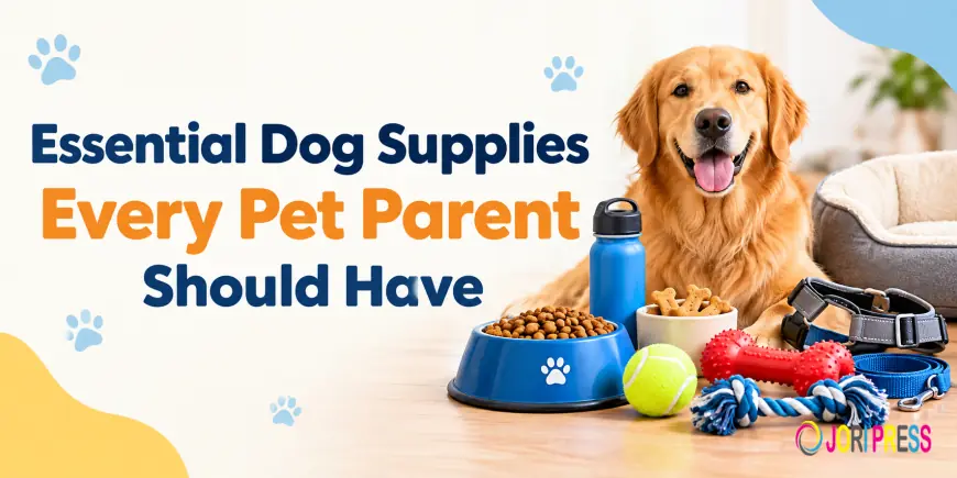 Essential Dog Supplies Every Pet Parent Should Have