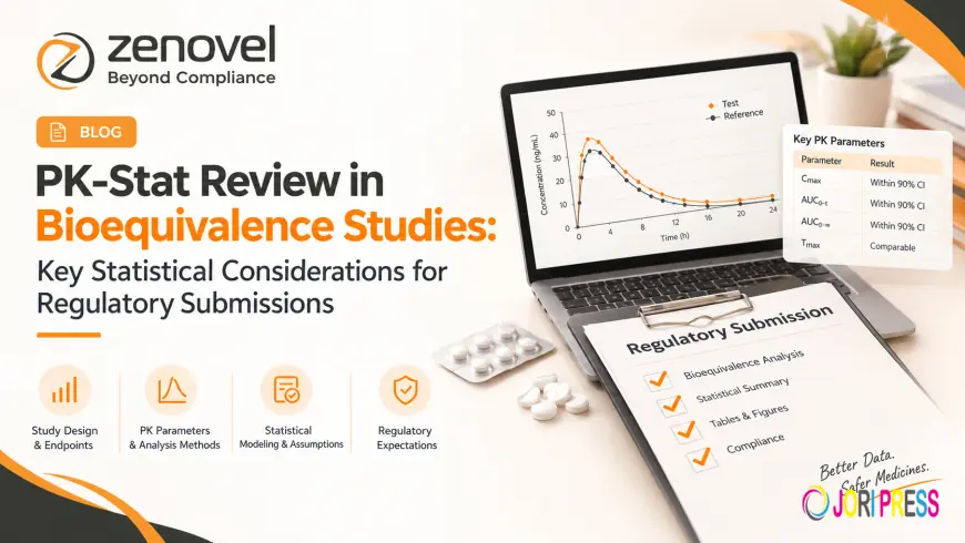 PK-Stat Review in Bioequivalence Studies: Key Statistical Considerations for Regulatory Submissions