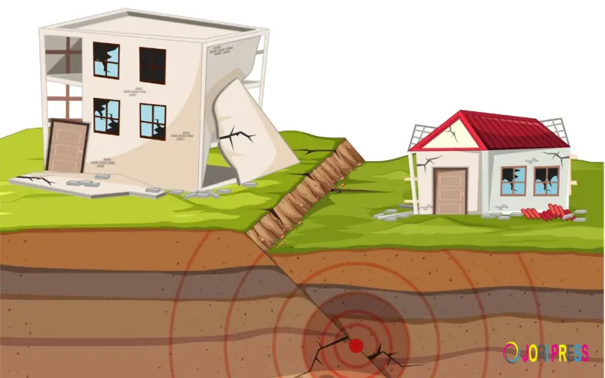 How Soil Erosion Can Damage Your Home’s Foundation: Warning Signs and Prevention Tips