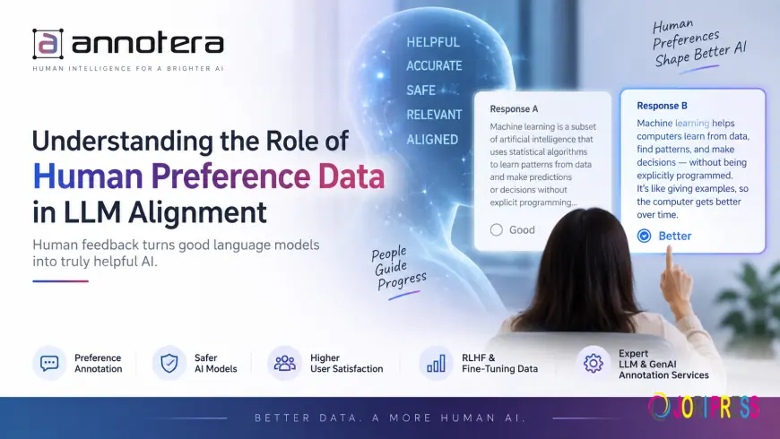 Understanding the Role of Human Preference Data in LLM Alignment