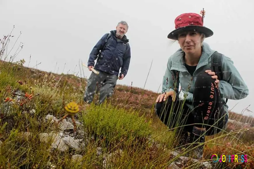Discover the Beauty of Overberg Through Hiking