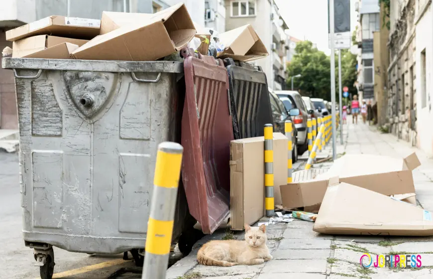 Dumpster Rental in St. Louis: A Convenient Solution for Cleanup Projects
