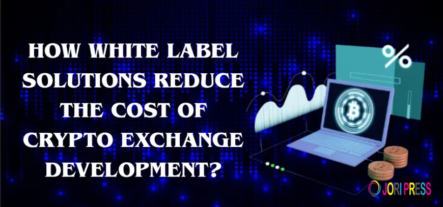 What Does It Cost to White-Label Crypto Services vs Build Them In-House?