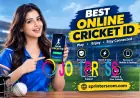 Best Online Cricket ID in India | Secure & Easy Cricket Access