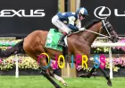 What Are Horse Racing Forecast Odds and How Do They Work?