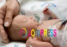 Neonatal ICU Zirakpur: Understanding Specialized Care for Newborns