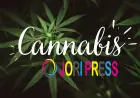 High Rollers Introduces New Affiliate Rewards Program for Cannabis Community Members