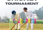 What Features Matter When Choosing an Online Cricket ID?