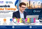 Openlink Endur Training: Build Expertise in Energy Trading and Risk Management
