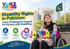 The Role of Teachers in Supporting Children with Disabilities in Pakistan