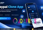 How to Develop a PayPal Clone?: Beginner guides