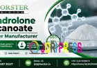 Nandrolone Decanoate Powder Manufacturer: Quality Standards Guide