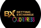 Betting Exchange Games: A Modern Guide to Interactive Digital Entertainment