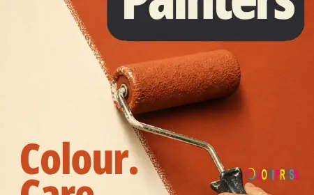 How the Right Paint Colours Can Change the Look and Feel of Your Sydney Home