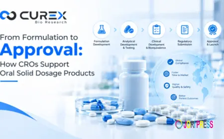 From Preclinical Studies to Clinical Development: Building an Efficient Drug Development Strategy